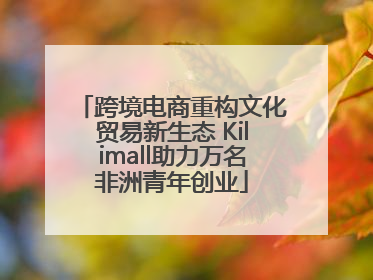 跨境电商重构文化贸易新生态 Kilimall助力万名非洲青年创业